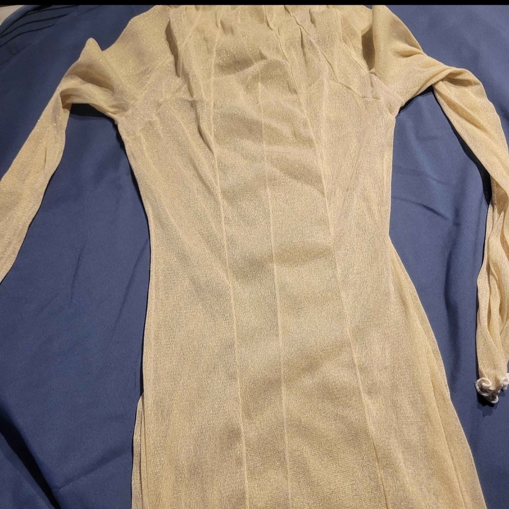 Elegant Sheer Cream Long Sleeve Dress